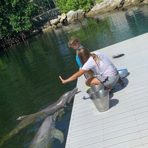 Meet your Posher, Yelena